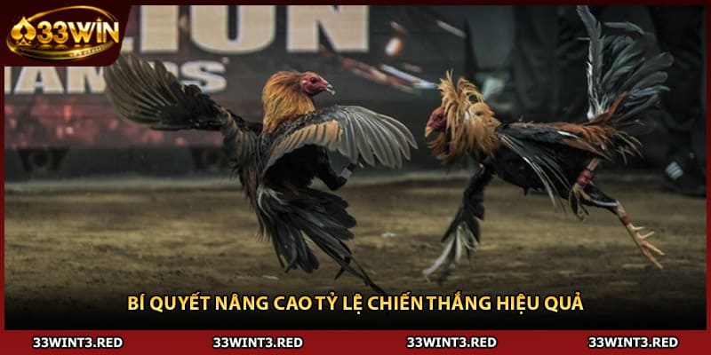 Bí quyết nâng cao tỷ lệ chiến thắng hiệu quả